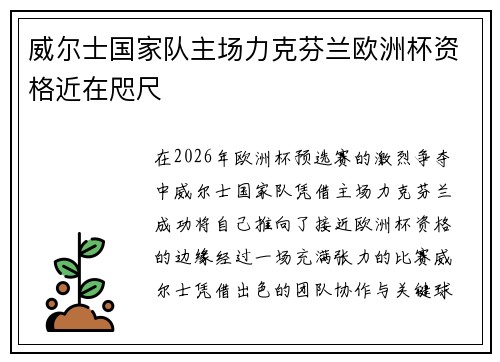 威尔士国家队主场力克芬兰欧洲杯资格近在咫尺